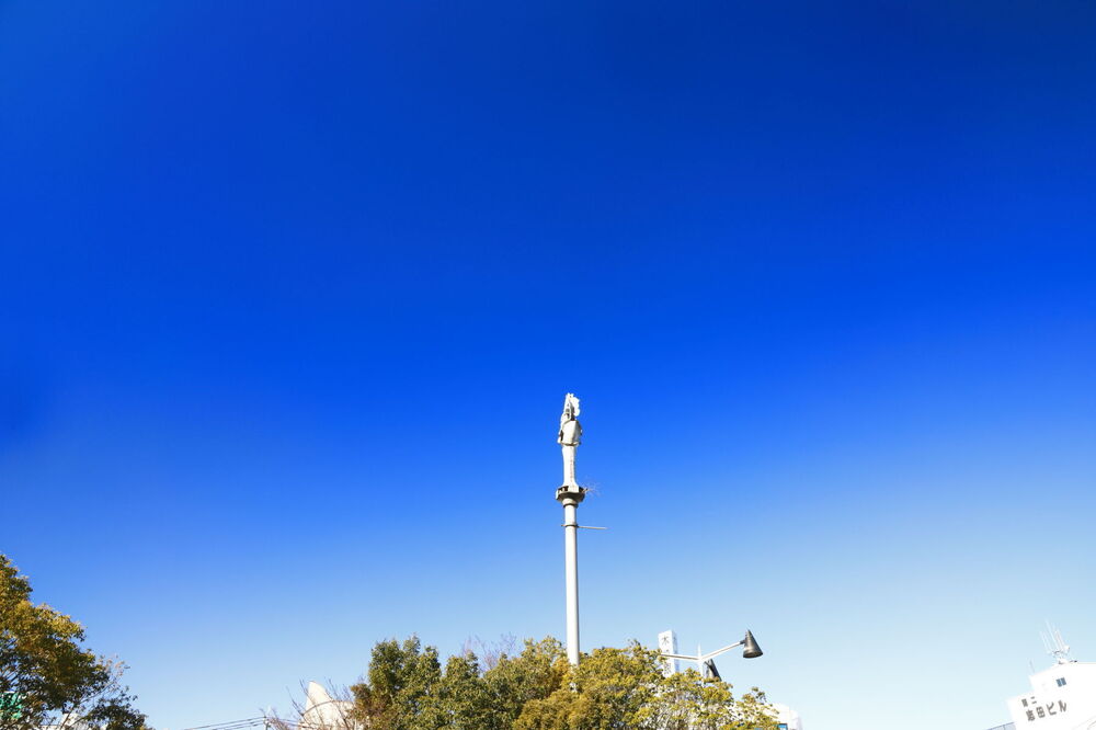 250210_IMG_3164_AD_快晴_青葉台駅前_2X3.JPG