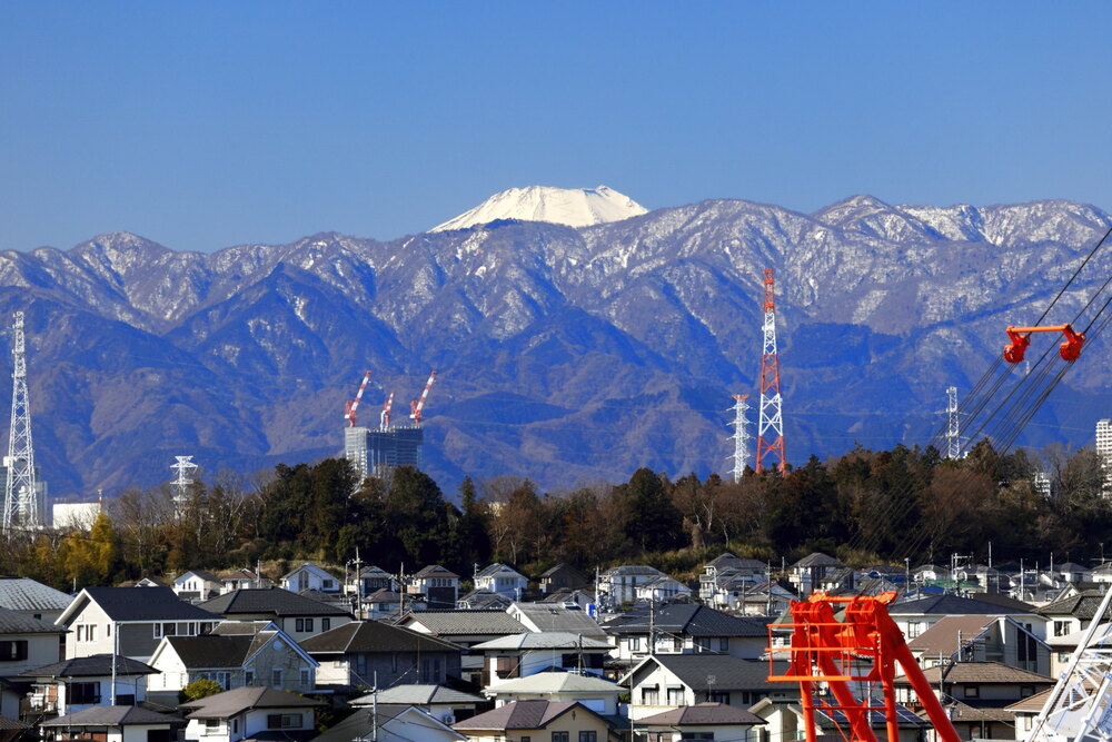 250211_IMG_3638_AD_富士山冬光_たちばな台公園_2X3.JPG