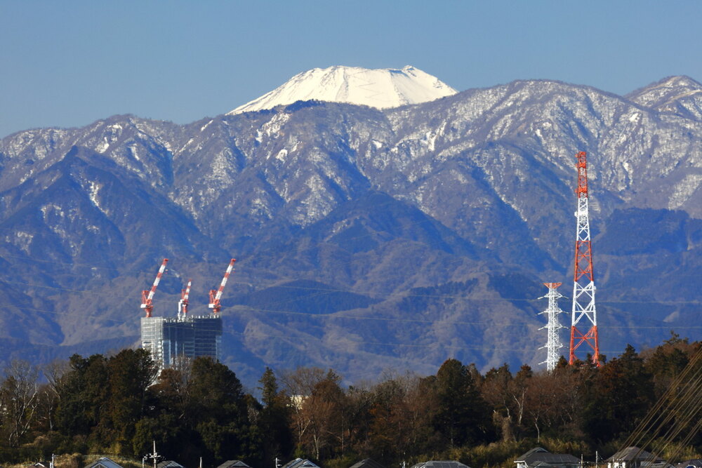 250211_IMG_3648_AD_富士山冬光_たちばな台公園_2X3.JPG