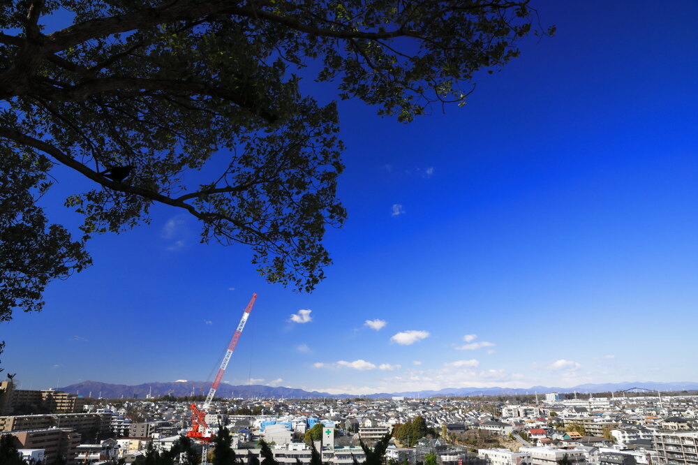 250219_IMG_5636_AD_丹沢山塊快晴冬景_たちばな台公園_2X3.JPG