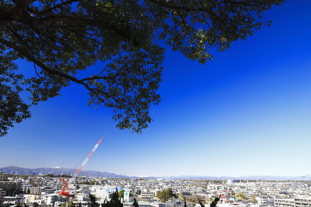 250220_IMG_6147_AD_丹沢山塊快晴展望_たちばな台公園_2X3.JPG
