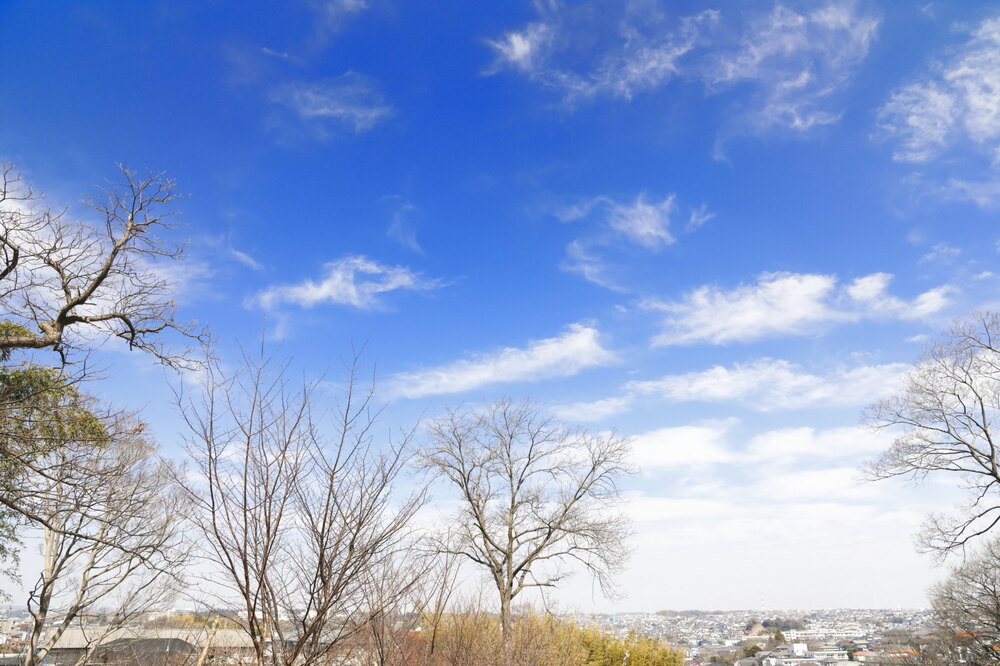 250228_IMG_9935_AD_晴れ_もえぎ野ふれあい_2X3.JPG