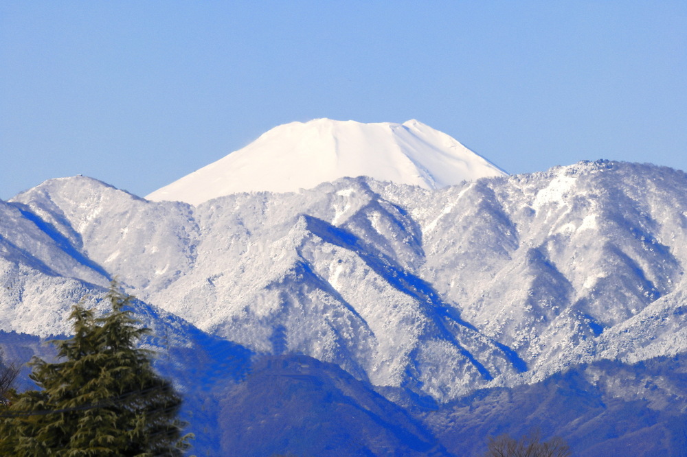 2502307_IMG_1379_AD_富士山春雪_GV.JPG