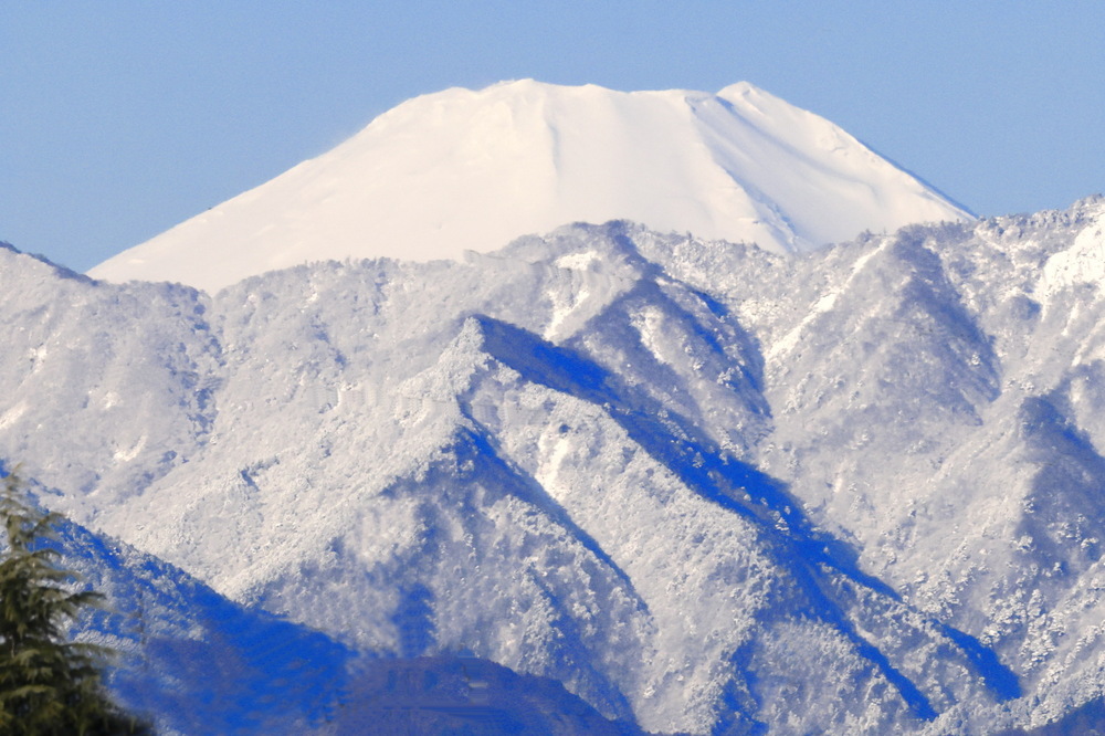 2502307_IMG_1379_AD_富士山春雪_GV_B.JPG